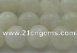 CMS1035 15.5 inches 14mm round A grade white moonstone beads