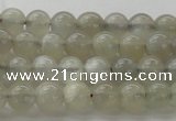 CMS1057 15.5 inches 6mm round grey moonstone beads wholesale