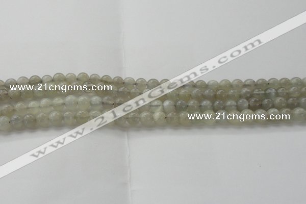 CMS1057 15.5 inches 6mm round grey moonstone beads wholesale