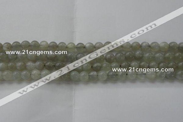 CMS1058 15.5 inches 8mm round grey moonstone beads wholesale