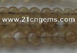 CMS1064 15.5 inches 6mm round grey moonstone beads wholesale