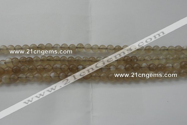 CMS1064 15.5 inches 6mm round grey moonstone beads wholesale