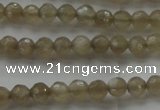 CMS1066 15.5 inches 4mm faceted round grey moonstone beads wholesale