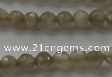 CMS1067 15.5 inches 6mm faceted round grey moonstone beads wholesale