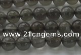 CMS1071 15.5 inches 6mm round grey moonstone beads wholesale