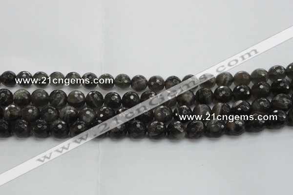 CMS1077 15.5 inches 10mm faceted round grey moonstone beads wholesale