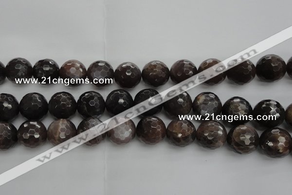 CMS1079 15.5 inches 14mm faceted round grey moonstone beads wholesale