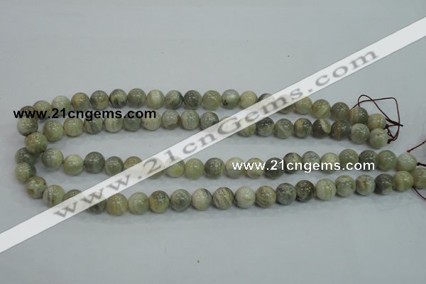 CMS121 15.5 inches 10mm round moonstone gemstone beads wholesale