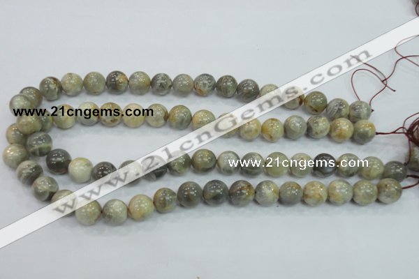 CMS122 15.5 inches 12mm round moonstone gemstone beads wholesale