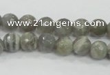 CMS124 15.5 inches 10mm faceted round moonstone gemstone beads