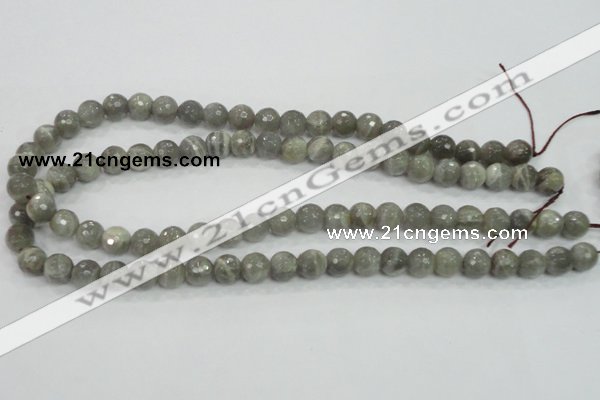 CMS124 15.5 inches 10mm faceted round moonstone gemstone beads