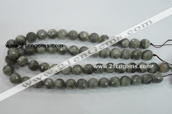 CMS126 15.5 inches 14mm faceted round moonstone gemstone beads