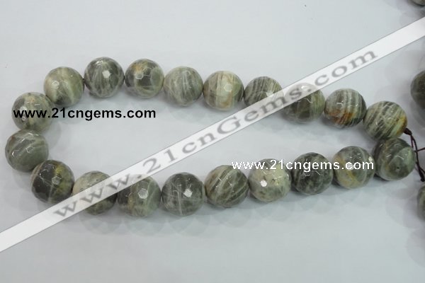 CMS127 15.5 inches 20mm faceted round moonstone gemstone beads