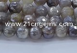 CMS1310 15.5 inches 4mm faceted round AB-color grey moonstone beads