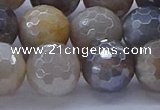 CMS1315 15.5 inches 14mm faceted round AB-color grey moonstone beads