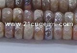 CMS1321 15.5 inches 4*6mm faceted rondelle AB-color moonstone beads