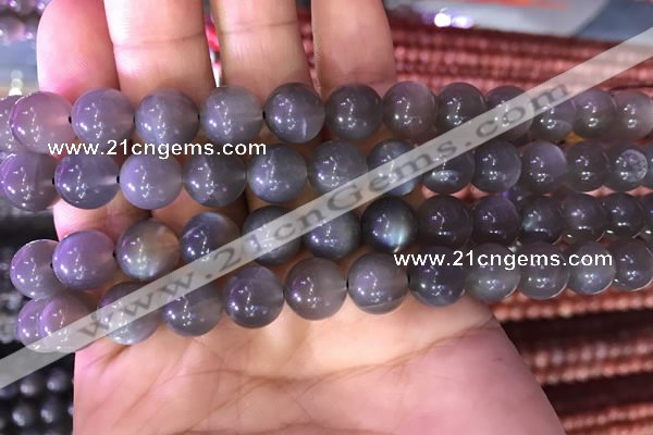 CMS1422 15.5 inches 8mm round black moonstone beads wholesale