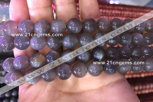 CMS1423 15.5 inches 10mm round black moonstone beads wholesale