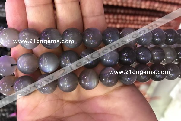 CMS1424 15.5 inches 12mm round black moonstone beads wholesale