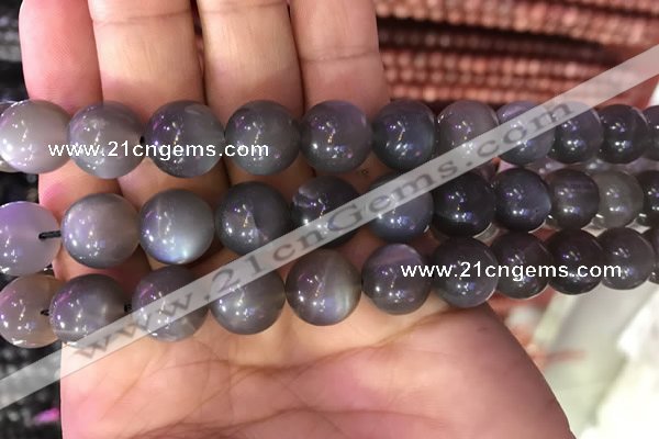 CMS1425 15.5 inches 14mm round black moonstone beads wholesale