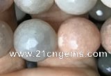 CMS1459 15.5 inches 12mm faceted round AB-color moonstone beads