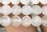 CMS1461 15.5 inches 6mm round white moonstone beads wholesale