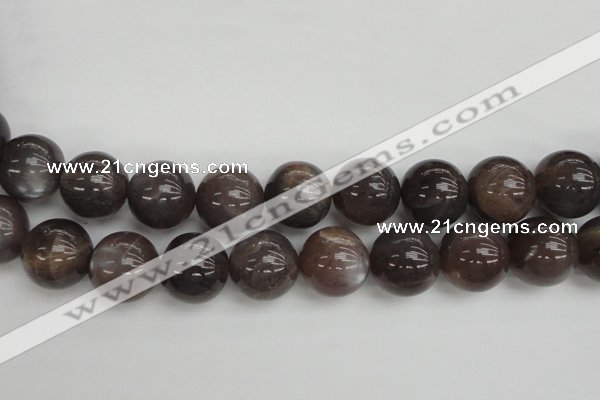 CMS149 15.5 inches 16mm round natural grey moonstone beads