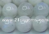 CMS1492 15.5 inches 10mm round white moonstone beads wholesale