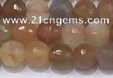 CMS1496 15.5 inches 6mmm faceted round rainbow moonstone beads