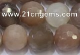 CMS1498 15.5 inches 10mmm faceted round rainbow moonstone beads