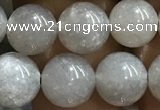 CMS1652 15.5 inches 8mm round grey moonstone beads wholesale