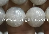 CMS1654 15.5 inches 12mm round grey moonstone beads wholesale