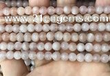 CMS1671 15.5 inches 6mm round moonstone beads wholesale