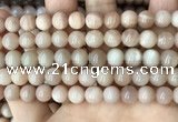 CMS1672 15.5 inches 8mm round moonstone beads wholesale