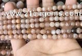 CMS1677 15.5 inches 4mm faceted round moonstone beads wholesale