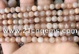 CMS1678 15.5 inches 6mm faceted round moonstone beads wholesale