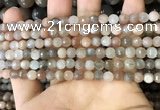 CMS1691 15.5 inches 4mm faceted round rainbow moonstone beads