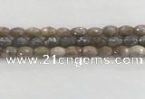 CMS1775 15.5 inches 8*12mm faceted rice AB-color moonstone beads