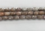 CMS1776 15.5 inches 12*16mm faceted rice AB-color moonstone beads