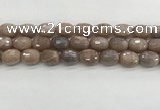 CMS1778 15.5 inches 13*18mm faceted drum AB-color moonstone beads