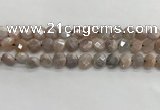 CMS1788 15.5 inches 8mm faceted coin AB-color moonstone beads