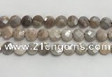 CMS1790 15.5 inches 12mm faceted coin AB-color moonstone beads