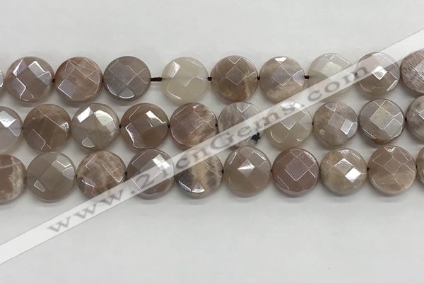 CMS1791 15.5 inches 14mm faceted coin AB-color moonstone beads