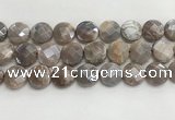 CMS1793 15.5 inches 18mm faceted coin AB-color moonstone beads