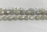 CMS1807 15.5 inches 10*14mm faceted oval AB-color moonstone beads