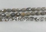 CMS1810 15.5 inches 8*12mm faceted oval AB-color moonstone beads