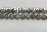 CMS1819 15.5 inches 14mm faceted coin AB-color moonstone beads