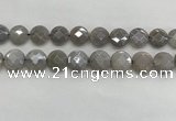 CMS1820 15.5 inches 16mm faceted coin AB-color moonstone beads