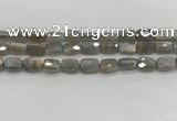 CMS1823 15.5 inches 8*12mm faceted rectangle AB-color moonstone beads