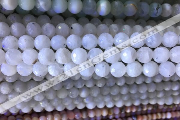 CMS1857 15.5 inches 10mm faceted round white moonstone beads wholesale